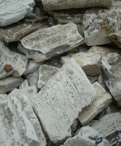 Cách dùng long cốt biến thiên theo từng loại bệnh