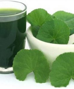 Cách dùng thông dụng nhất là giã lấy nước uống
