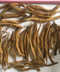 Loại củ này được ứng dụng rộng rãi trong các bài thuốc