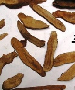 Công dụng của vị thuốc này rất lớn