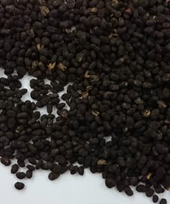 Phá cố chỉ chữa được rất nhiều bệnh