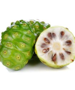 Sản phẩm Nhàu - Noni products - 노니 제품