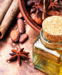 Sản phẩm Quế, Hồi - Cinnamon, Anise