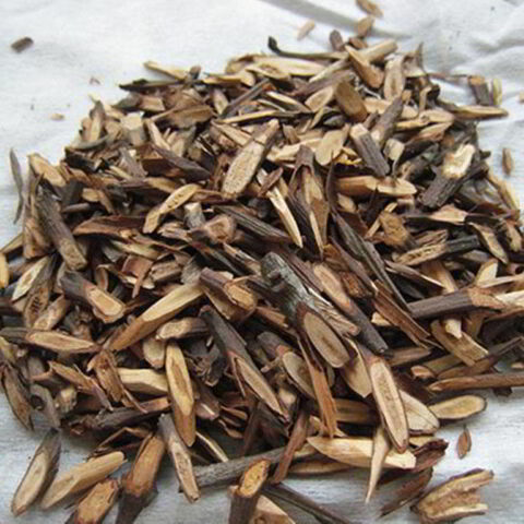 branch-cut cassia hight-quality chean for export