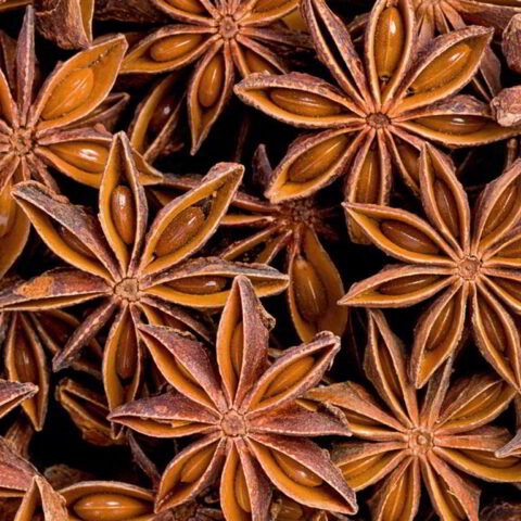 cheap star anise superior hightquality size 25cm