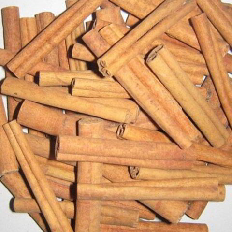 cassia product Length: 8-20cm for export