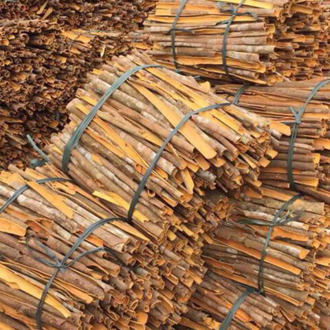 Split cassia (cinnamon split) length: 25 - 45cm - 80% min