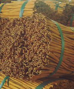 cinnamon stick for export