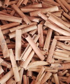 Finger Cassia or cigarette cassia product for export form starfoods
