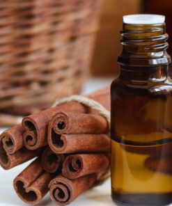 iol cinnamon export cheapest at viet nam