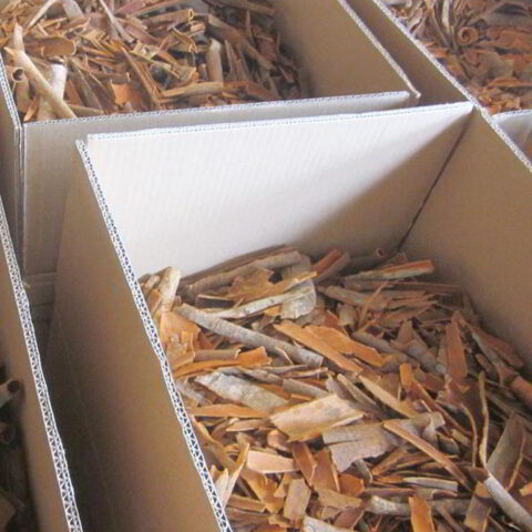 Packing cinnamon broken cheap on asia