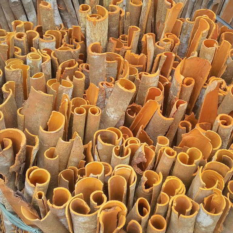 split cassia cinnamon export from starfoods viet nam