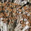 whole Cassia for export cinnamon
